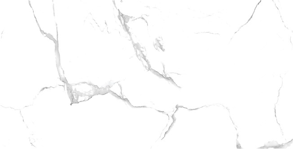 PORCELANATO STATUARIO VENATO 60X120