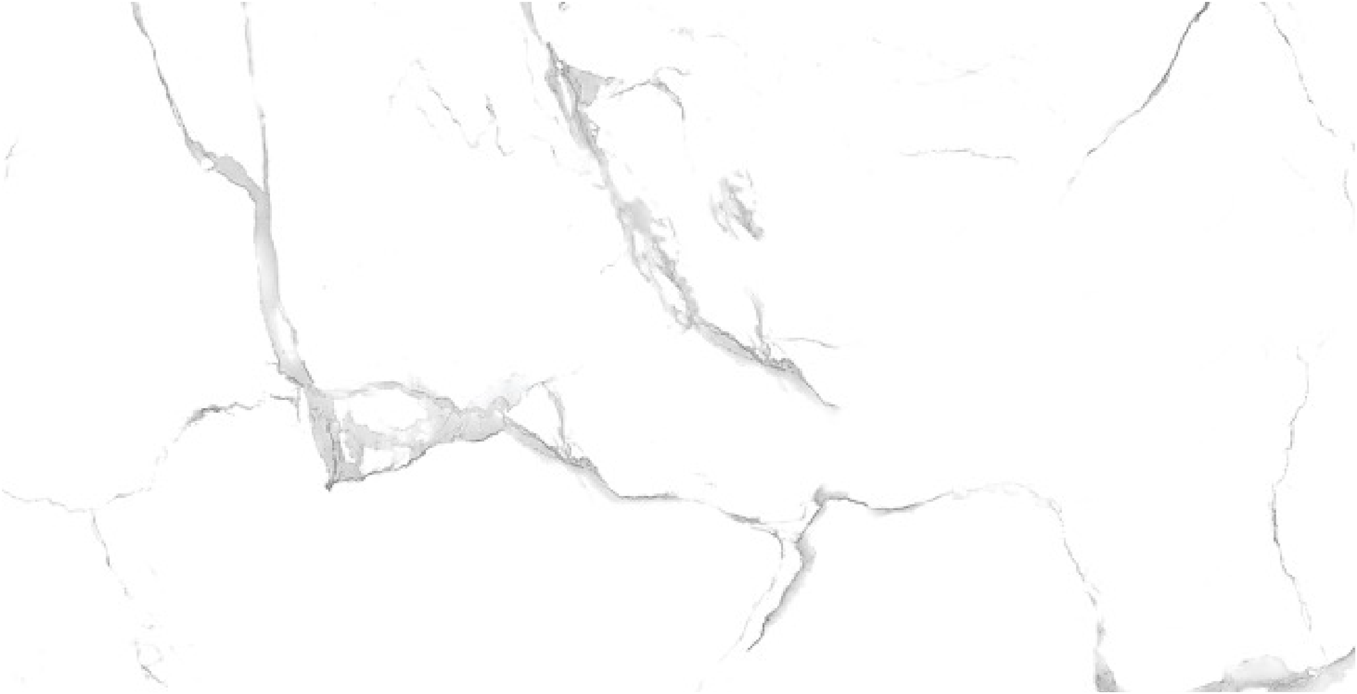 PORCELANATO STATUARIO VENATO 60X120